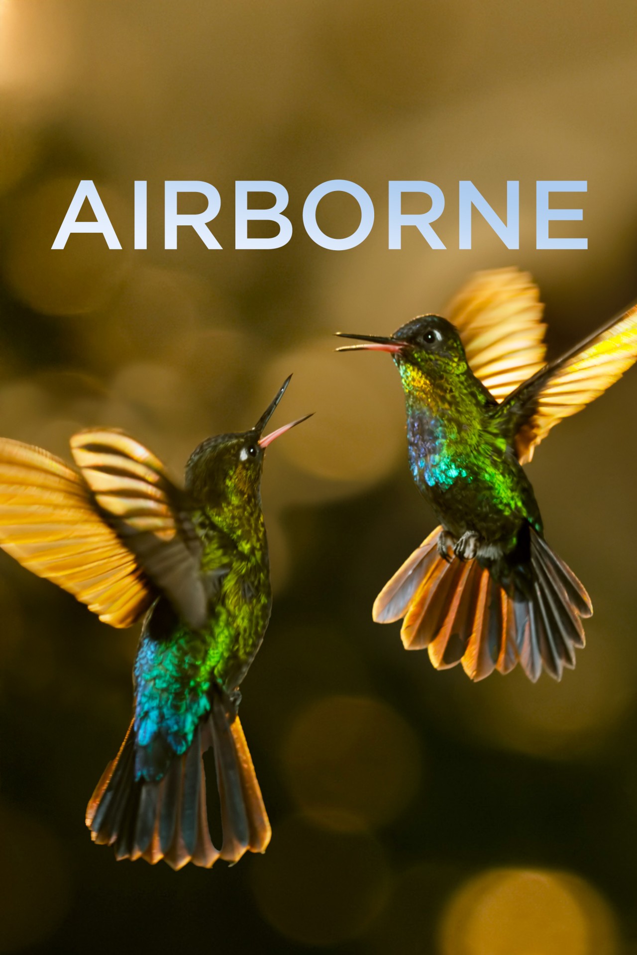 Airborne Episode 3 - Love in the Air
