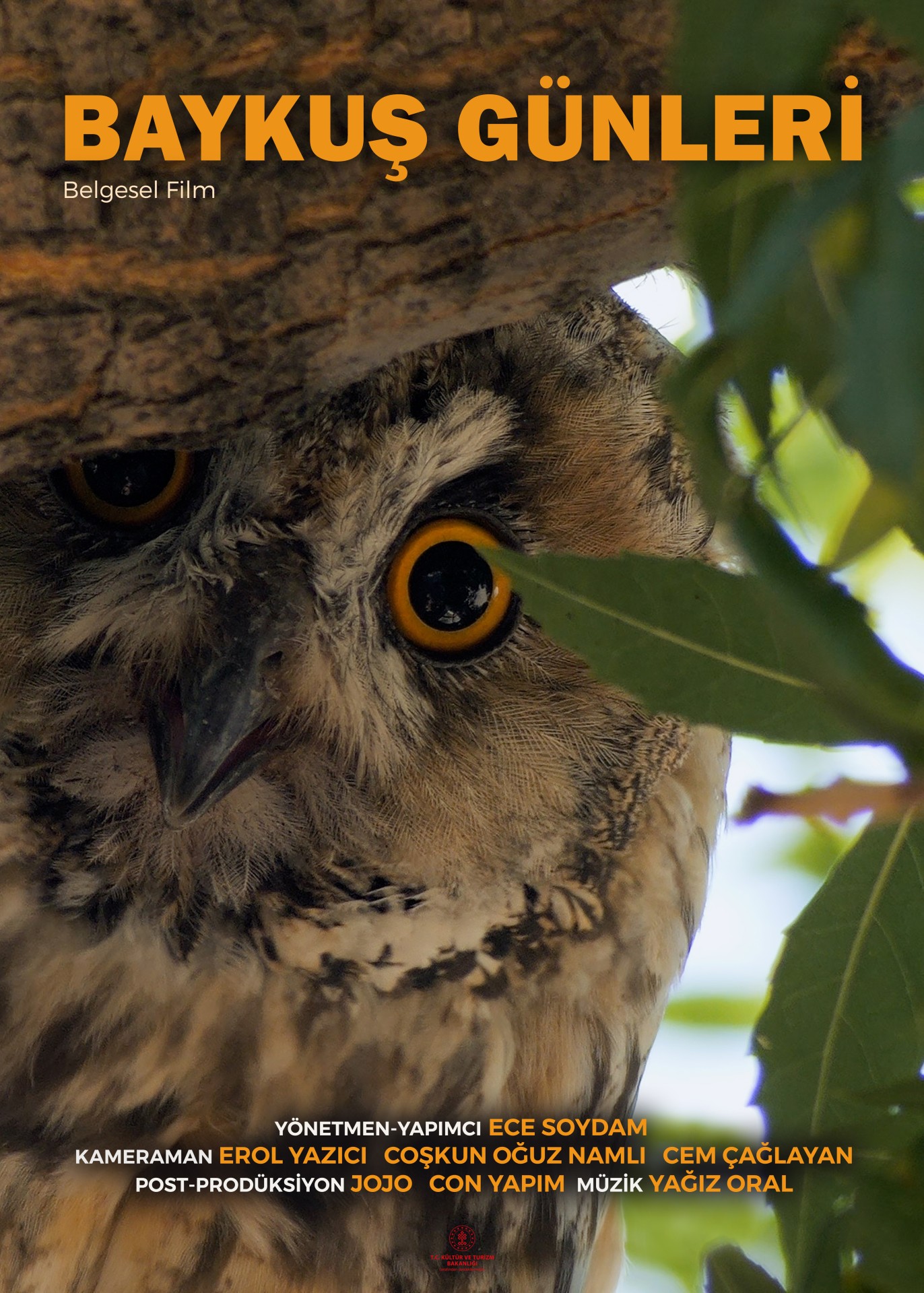 Days of the Owl