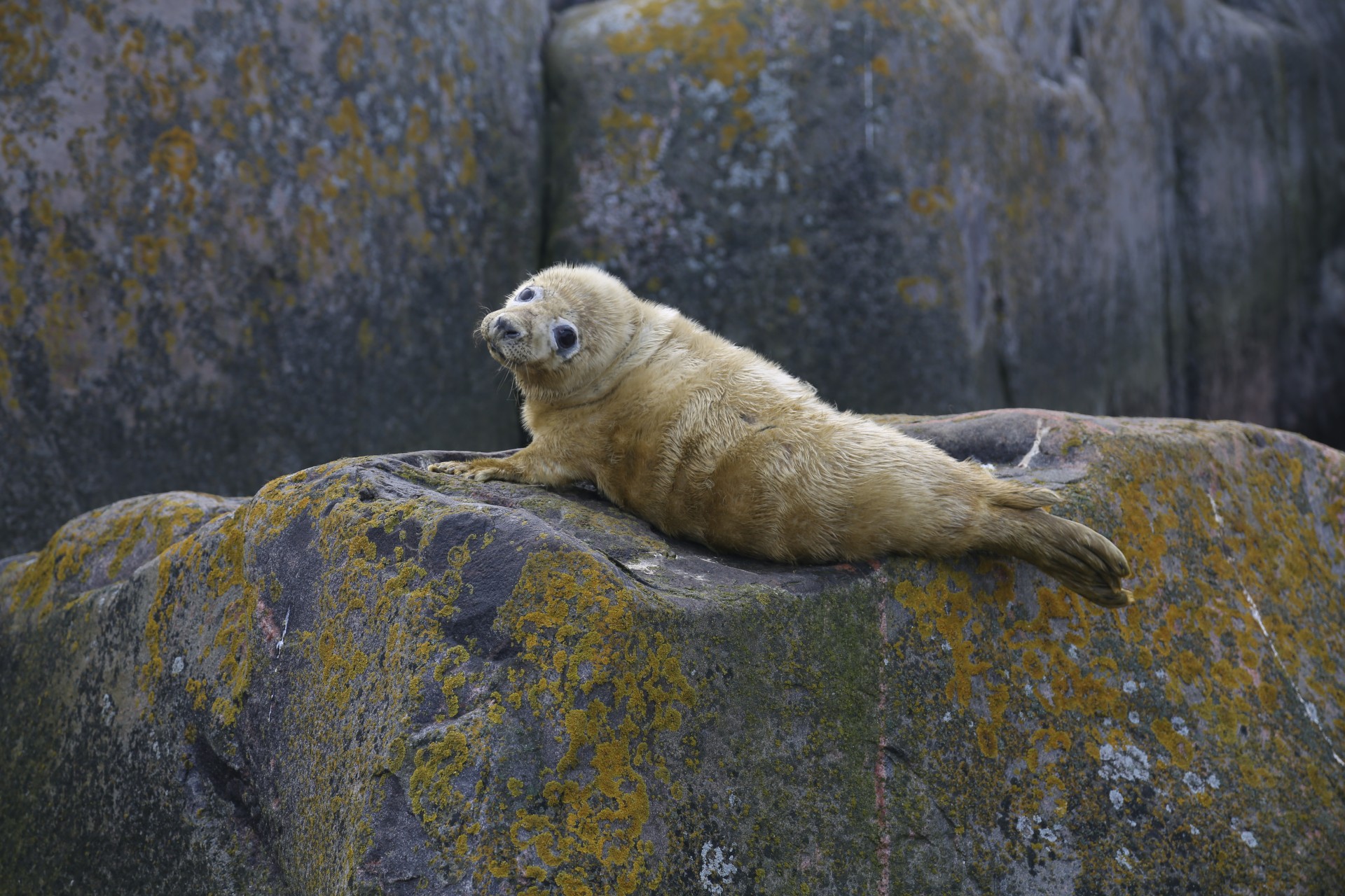 Life on the Edge - The Changing Nature of the Outer Islets